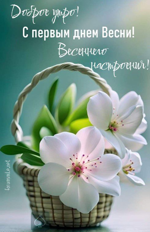 ������ ����. ������� � ������� ������ ����� ����� ������������ ��-�� �������. ��� �������. ����������� �� 0 ����� �� +11 ���