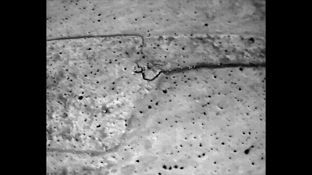 ����� ������ ��� ����������� � �������