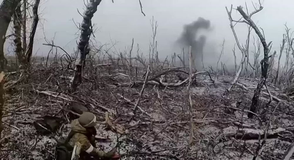 ���� ��� ���, ����� �� �������