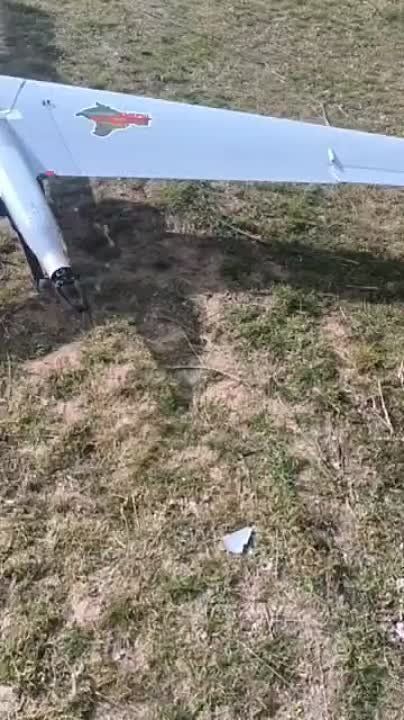 � ������ ����, ������, ��� ������� ��� �������������