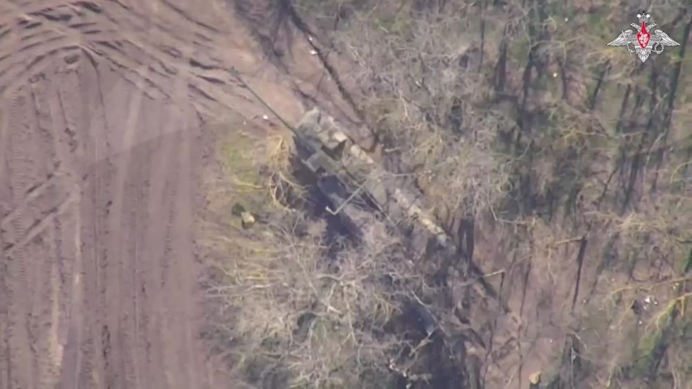 ��������� ���� ����������� ����� ������ ���������� ���������� ������� Zuzana ���������� ������������