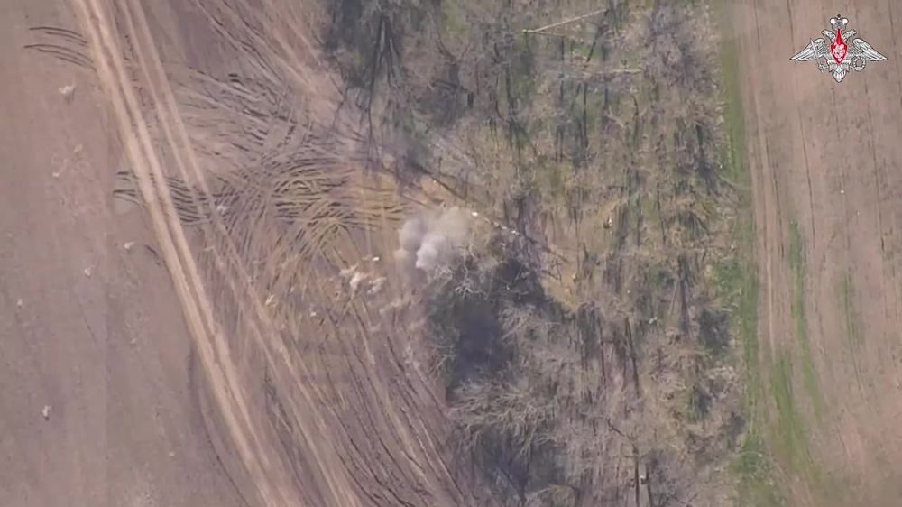 ����� ����������� ������ ����������� ���� ���������� ������� Zuzana ���������� ������������