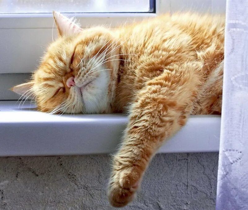 ������� ������� ���, � ����������� ����������!