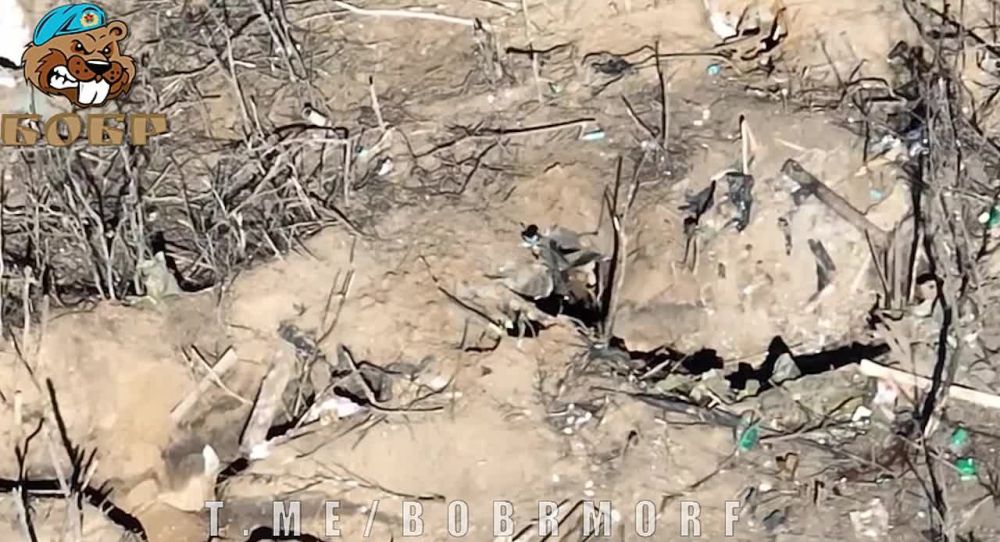 ������� ����� �������� ��� ��� ����, ����!