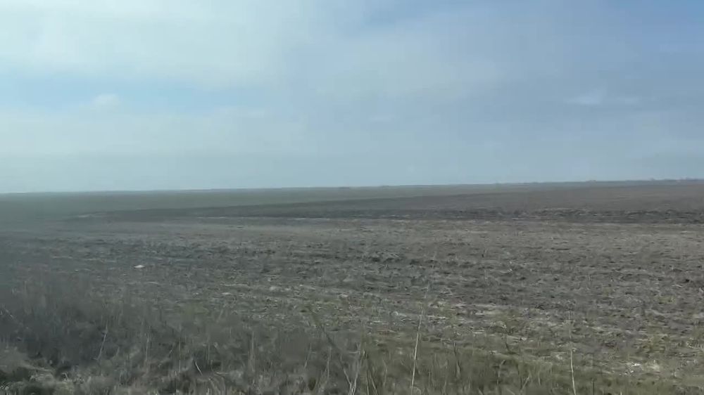 ������� � �������, ��� ������� � ������� " � ������ �����": ������, ��������, ������, �������� � �����