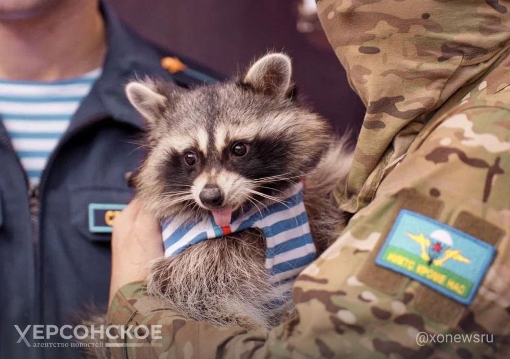 �������������� �����������: ���� ������ ������ � ����������