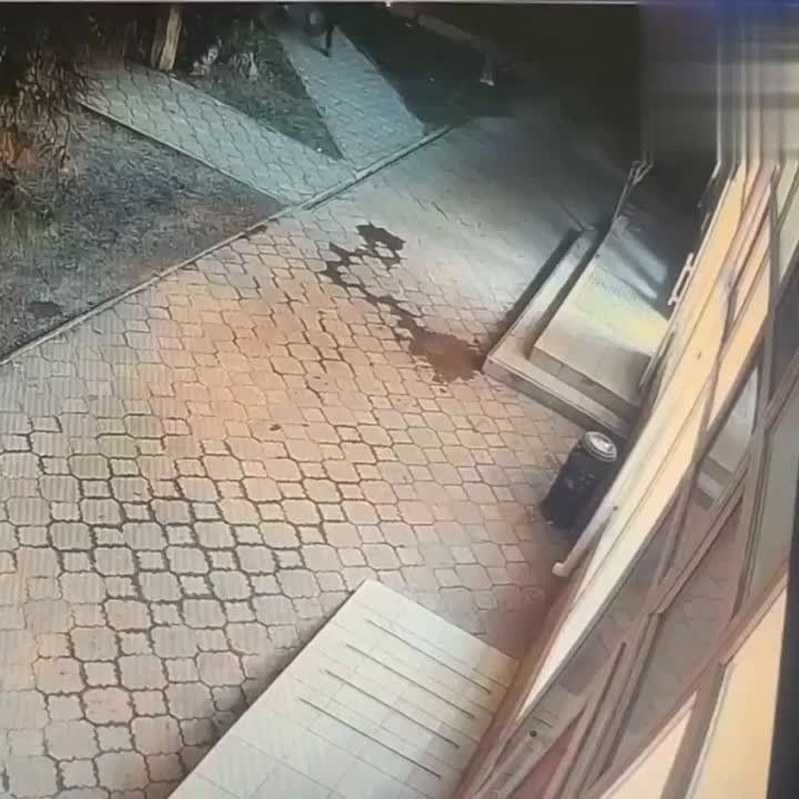 ������ ����������, ������ � ����������� ������� �� ������ ������� � �������