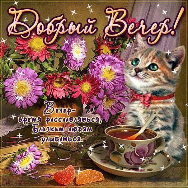 ������, �� �������� ���� ���������