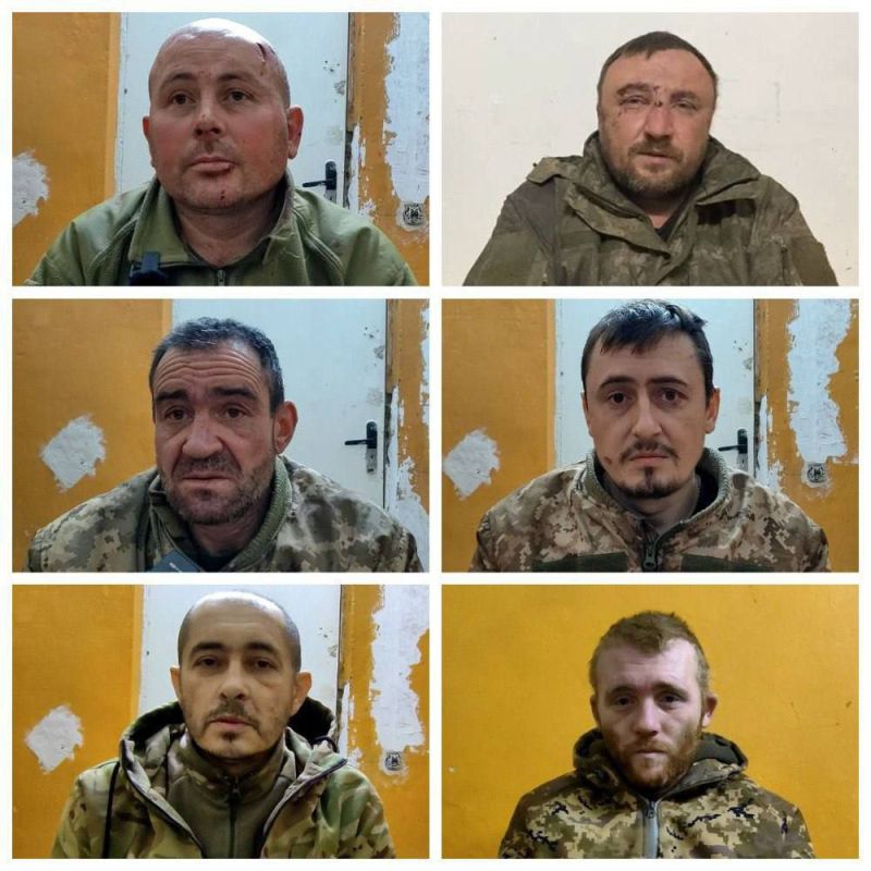 ����� �����: ���������� ������������� � ����������� �����������