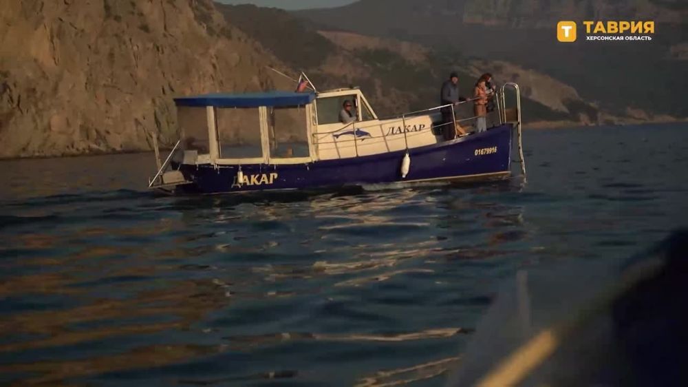 ���������� ������� ������ ������� � ��� � �����������