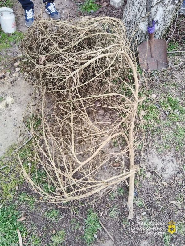 � ����������� ������ ���������� ������� ���������� � ������������ �������� ������ ����� ����� ������� � ����������� ������� ���������