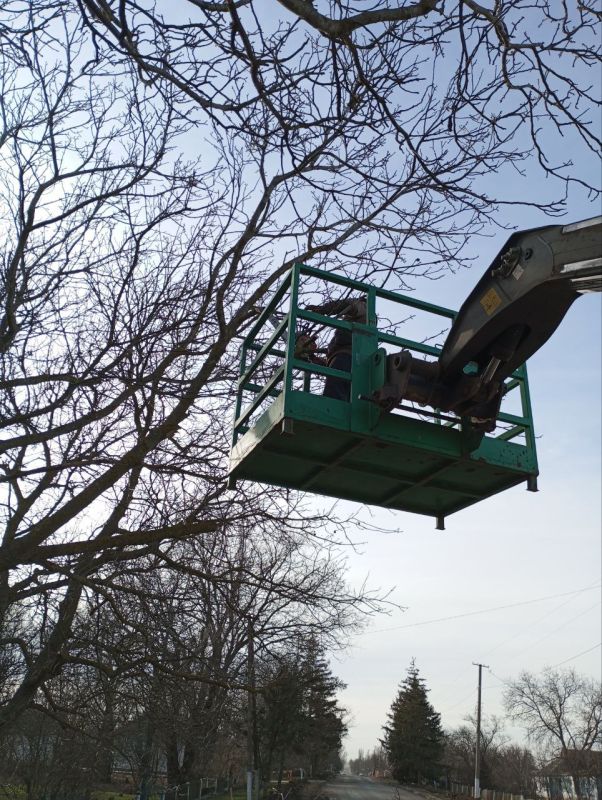 ���������� ���������� ������������ ������ ���������� ��������� � ������� ����� ���������� ������� � ���������� ������