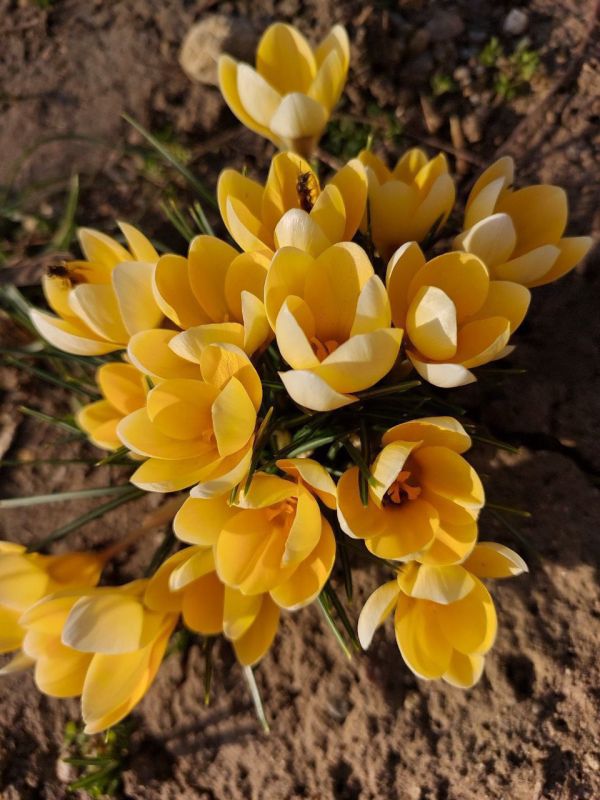 �������� �����������: ������� � ������ �� ����� ������