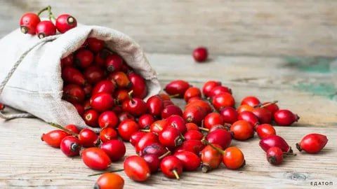 ��� ������ ������ �������� ��������� �������� � ���������� ������� ���������� ���� ��������