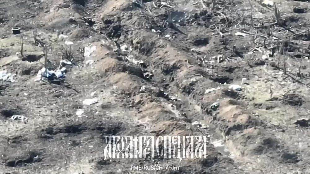 ����������� �����������