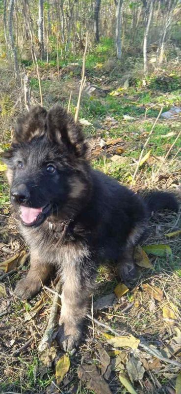 � ��� ����� "�������". ����� "����". ����� �� ��������, ��� ����. ����� ������� � ������ ���� ��������