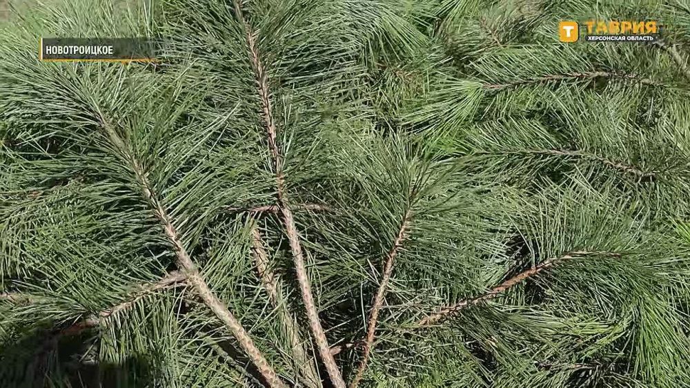 � ���������� ������� �������� ���������� � �������������� �������