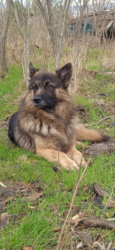 � ���� ��� ����� ��, ������ �� �������� ����� ���������� ������