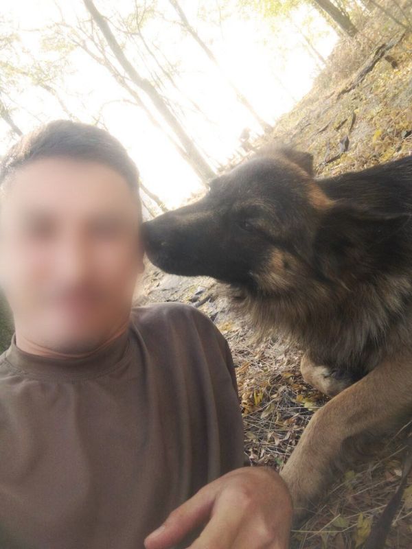 ϸ� �����, ������� �� �����-��������� ����� ���������