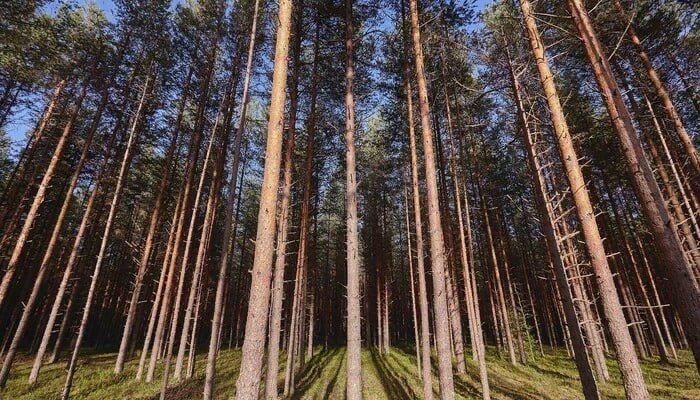 ���������� �������. � ������ ���������� � �������������� ������ ���������������� ������������� ��������� ���������� � �������� � ���������� ���������������� ����� � ������ ��������