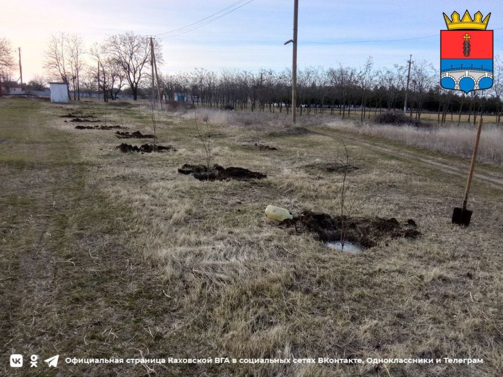 ������ ���� � ���� ���������� ������