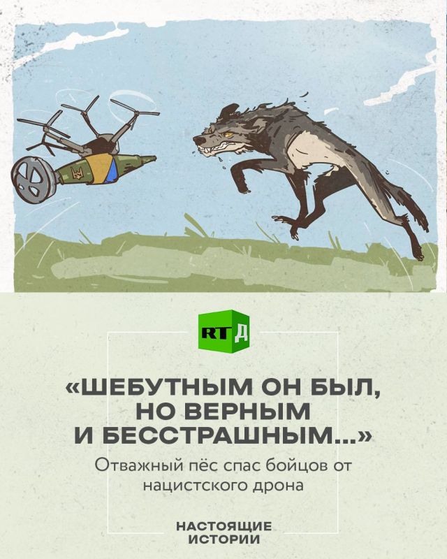 ������� ����� ����� �����