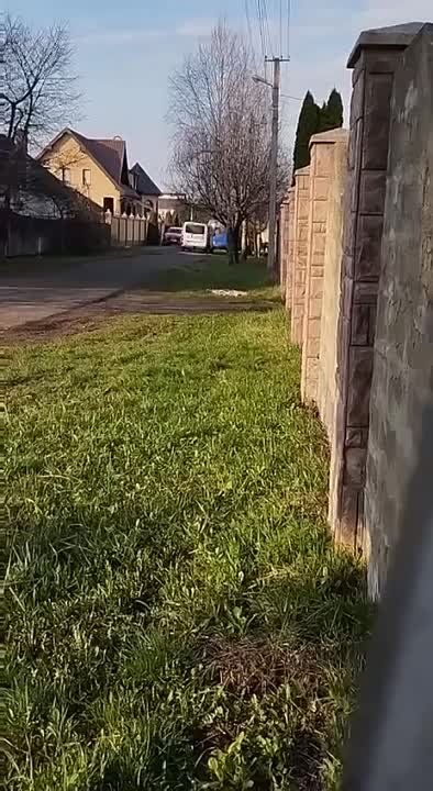 ������� ������������ �����������, � �������� (�������� �������) �������� �� ����� ������� ���������� �������� � ������������