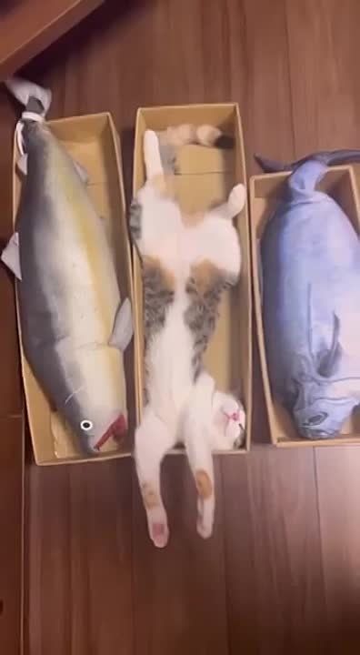 ������... ���������� �����, � ��� ����� ������������ ���