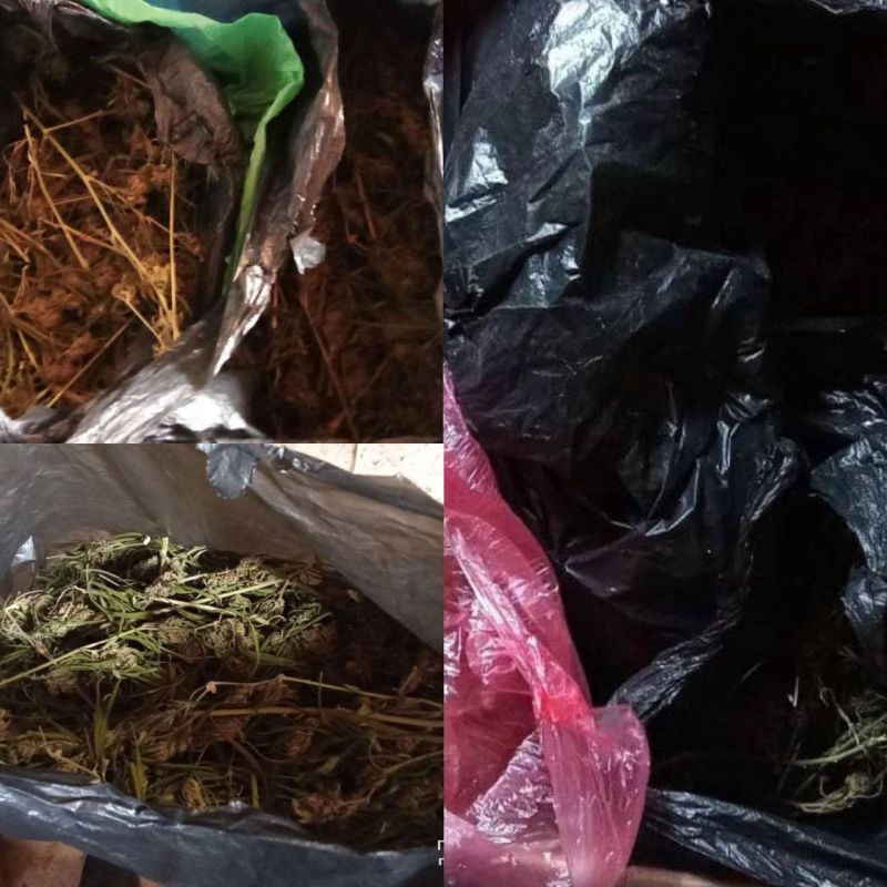 ���������� ������� ����� � ������ �������� ������ ���������� ���������