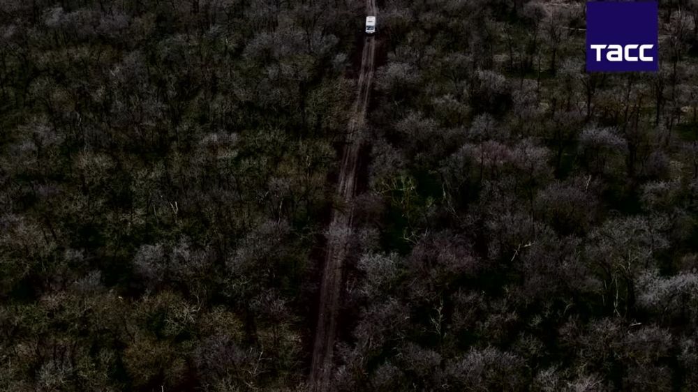 ��� �������� �������� � ���������� � �������� �� ������ ������ ������ � ����������� ������ ����������� ������