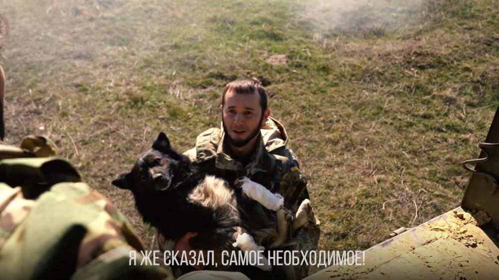 �������� ������: ������� ��� ��������� ��������? ���� ��� � ������ �����!