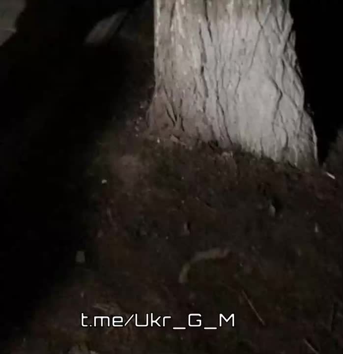 � ������ � ������� ������������� ������� "�������"