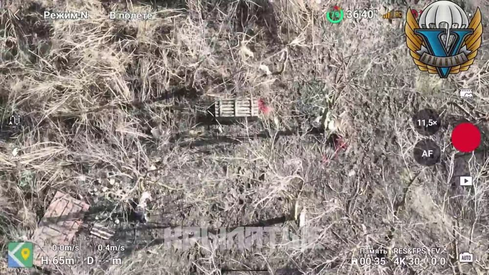 ����������� ����������� (��������������� �� ��������)