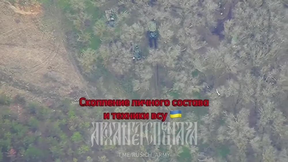 ���������� �����������