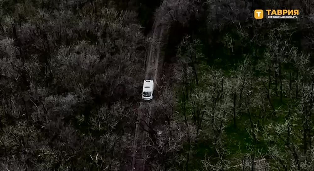 �� ���������� ����������� ������� ��� ���������� ���������� ������ ������ ��� ��������� ����������