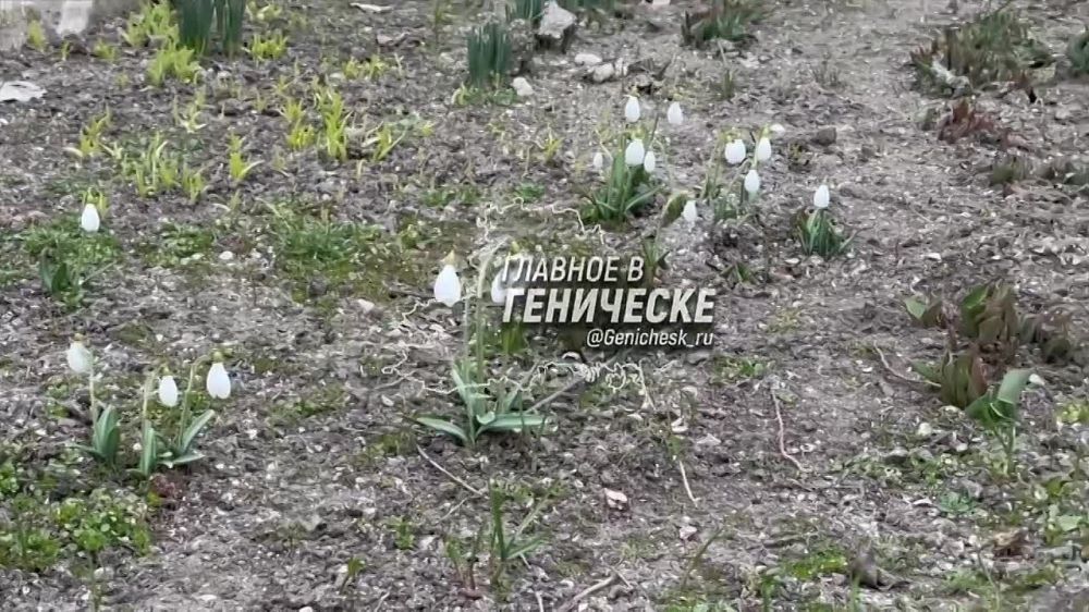 ������� � ��������� ������������ � �������� � ����� ����� ���� �����