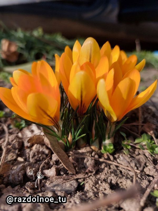 ����������!. ���� ������ ������