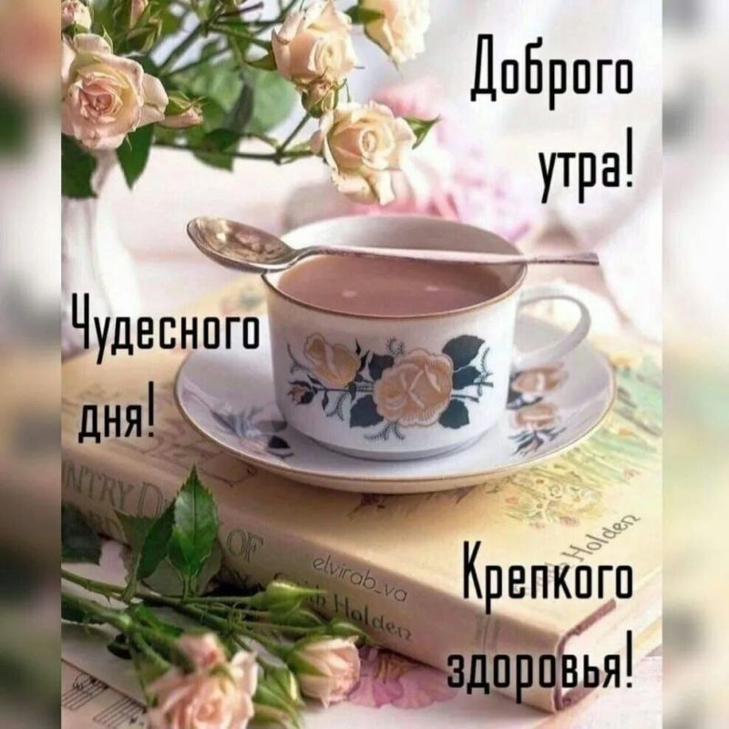 ������ ����. ������� �� ���������� ����� ��� ������ � ������� ����� ���������. ��� �������. ����������� �� +1 ����� �� +10 ���