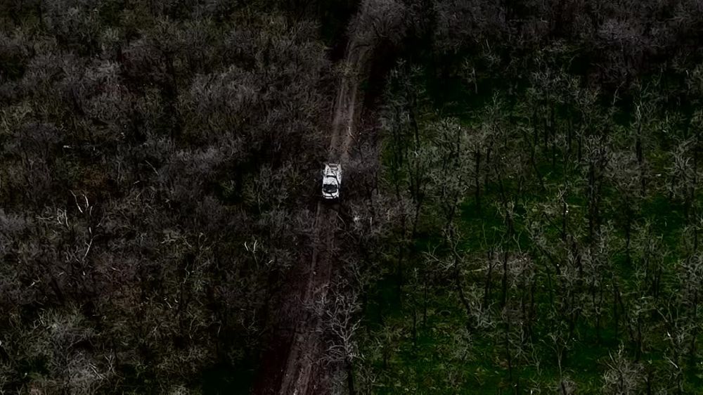 �������� ������: ���������� ��������� ������ ��������� ��������� ������, �� �������� ������������ ������ ��������� ������ ����������� ���������� �������, �� ������ ������ ����������� ������