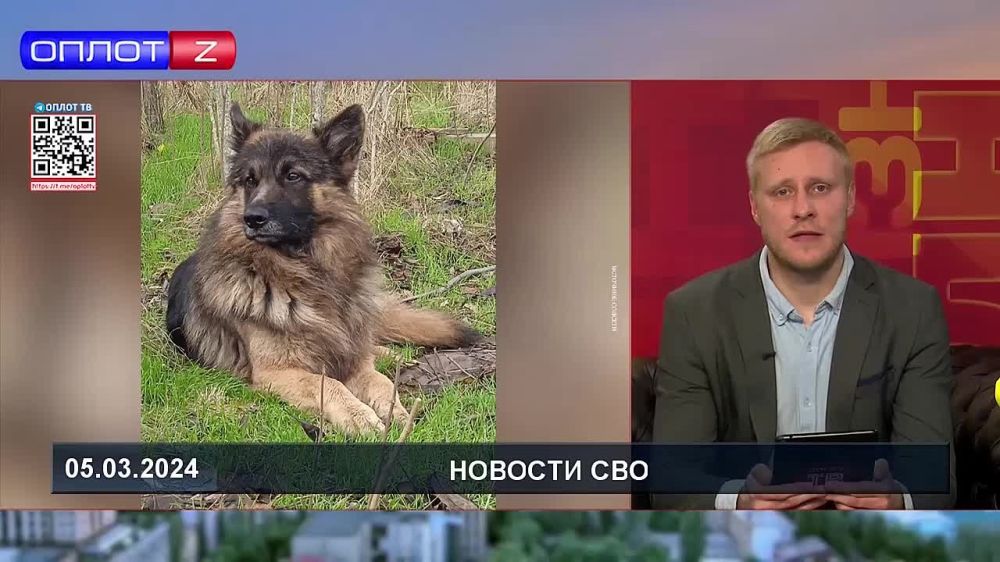 ϸ� �����, ������� �� �����-��������� ����� ���������