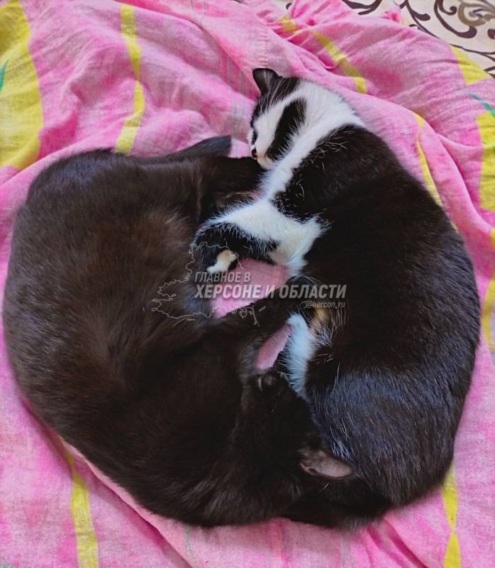 � ����� ������� ��? � ������� ���� ���������� � ������ �� ����������� �������� � ������� � �������