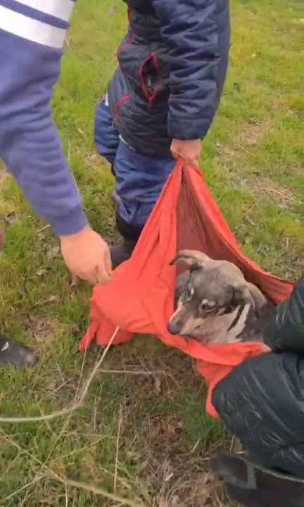 � ����� ������� ������ ������, ������� ��������� �� ����������