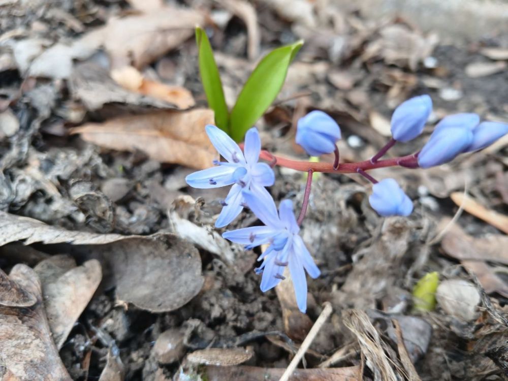 � ������ �����, �����������!