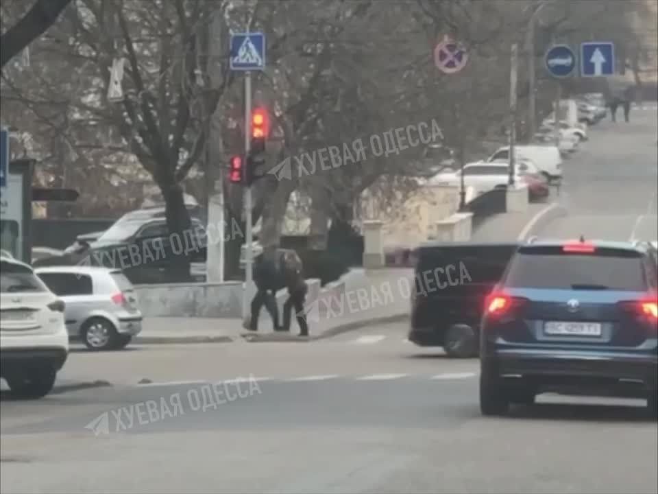 ��������� � �������-������� ������ ��������� ����� ������� ��� ������� � ������