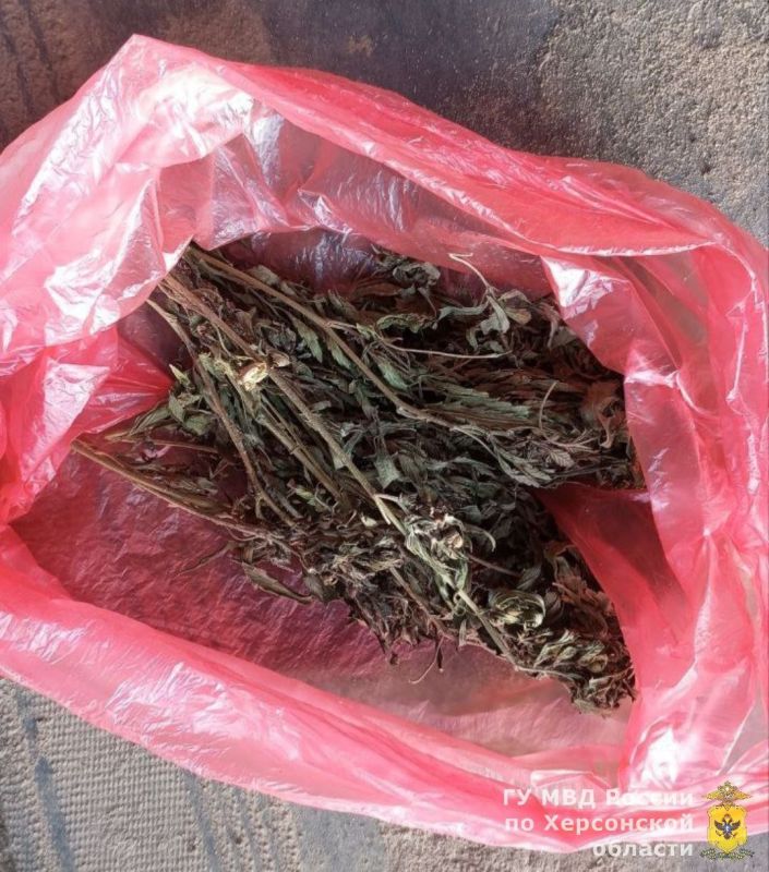 ����������� ������ � ������������ ������ ���. ����� ������ ����� ����� ������� � ������������ �������� � ����������� ������� ���������