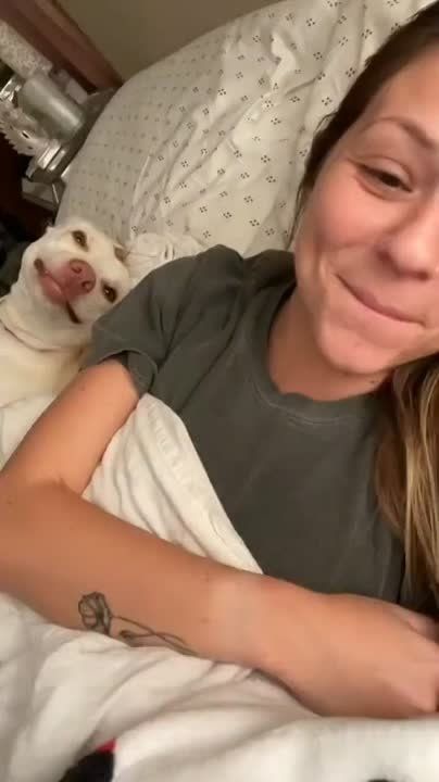 �� ���, ������, ��� ����������, ��������� � ������ ���������� � �����? ����� �������� �� ���� � ������ �� ���������� ������� �������