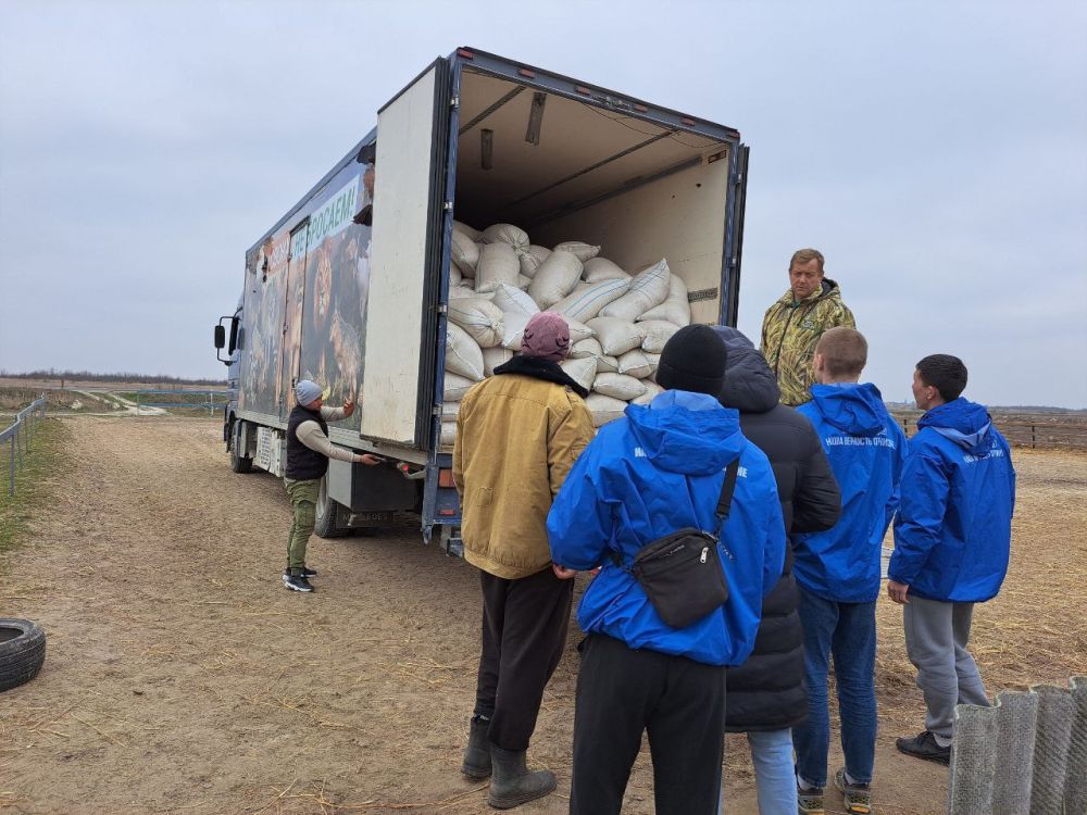 ���� ������ �������� ������������ ���� ������� ����� � ���������