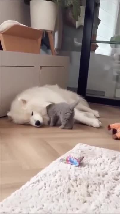 ������, �������� ��� ��������� � ������ ���� � �����, � �������� �� ������, ��