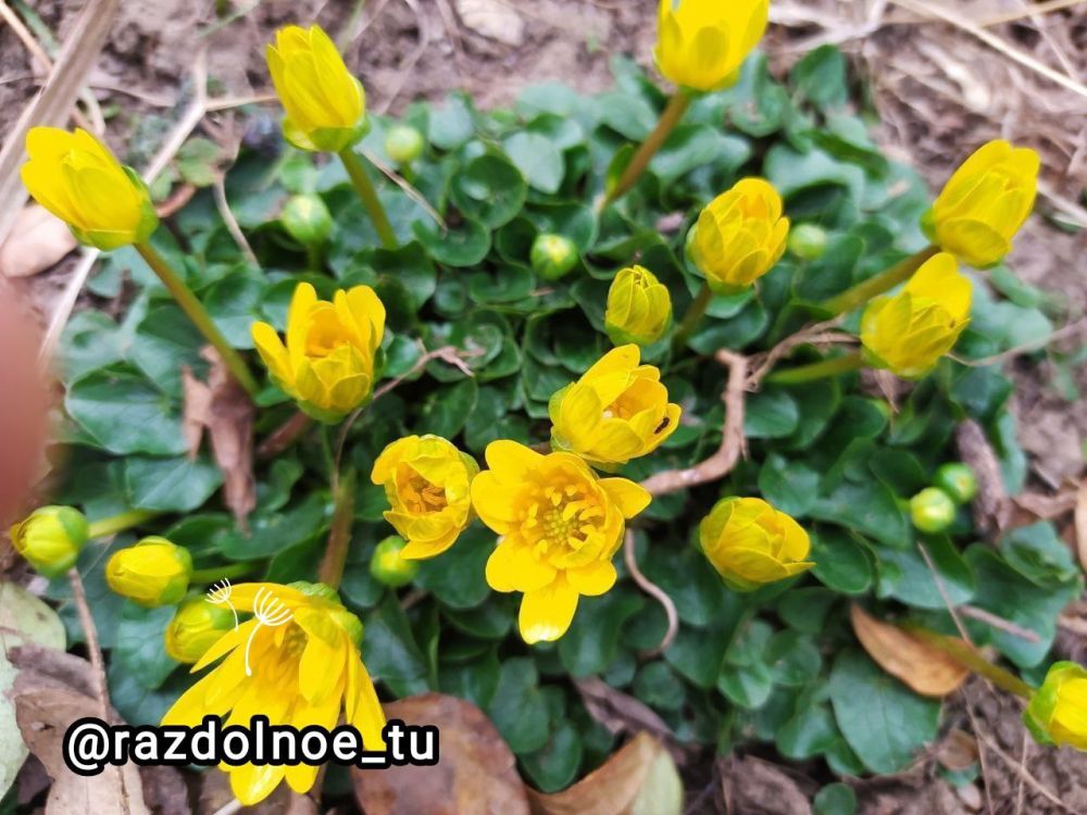 ����������!. ����� ��� ���� ����� ������, ������ � ��������������. ������ �������� �������� � �������� ��� �� ���� ����....