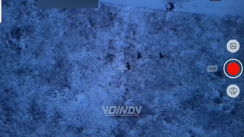 ���� �� ����� ������ �������� �� ������ �������� ����